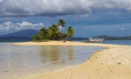 Unveiling the Mysteries of Death in Paradise: A Journey Through Its History and Speculation on the Next Lead Actor