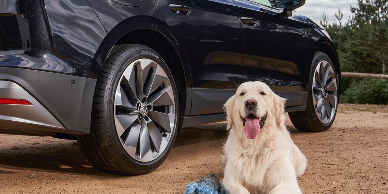 Having a ball! Škoda raises the woof as it returns to Crufts as Official Automotive Partner