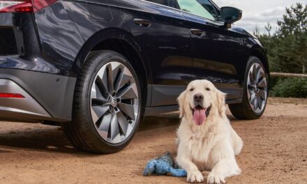 Having a ball! Škoda raises the woof as it returns to Crufts as Official Automotive Partner