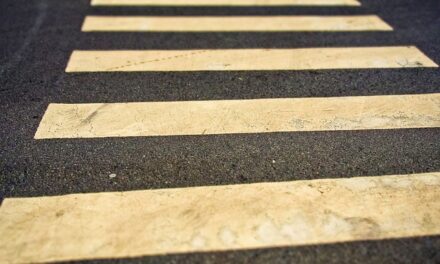 Unveiling the Excitement: Brake Zebra’s Beep Beep Day 2024 Celebration