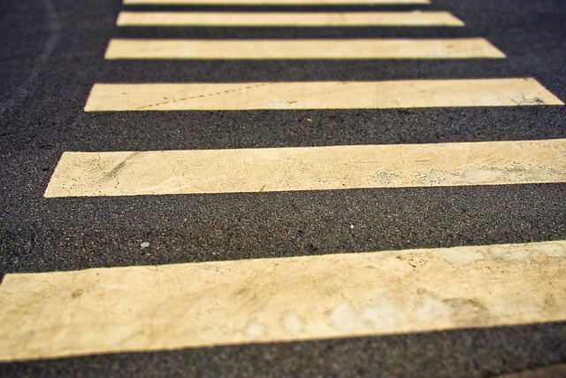 Unveiling the Excitement: Brake Zebra’s Beep Beep Day 2024 Celebration
