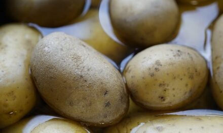 How are Potatoes Made in the UK?