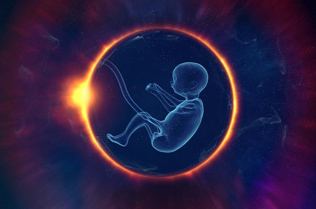 The Genesis of Complexity: Unveiling the Significance of Primary Endosymbiosis in Life’s Evolutionary Tale