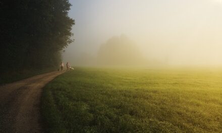 Where to go for nice walk with the Dog if your away for the Weekend in East Midlands?