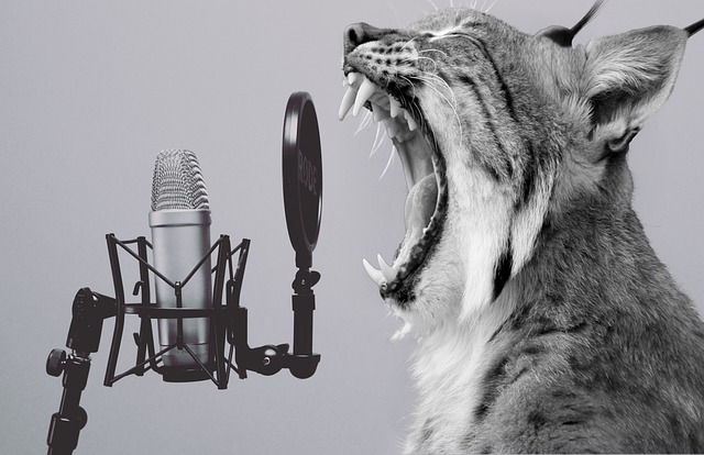 Scream Day 2024: Unveiling the Power of Cathartic Expression