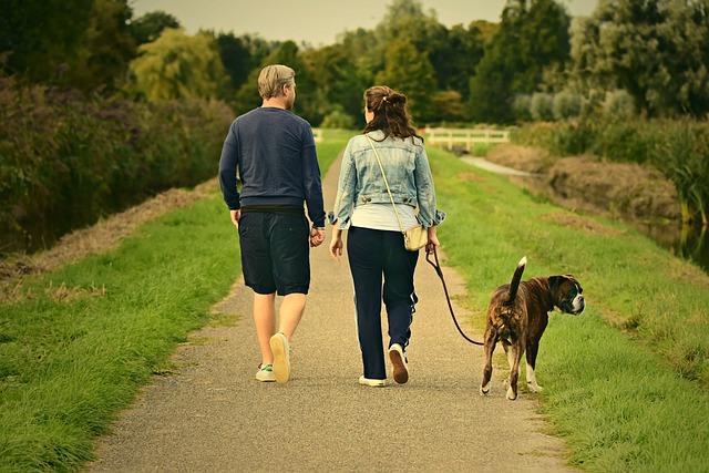 Where to go for nice walk with the Dog if your away for the Weekend in North West of England?
