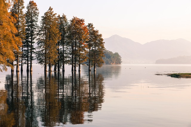 Finland Unveiled: A Journey Through Time and Transformation Since 2000
