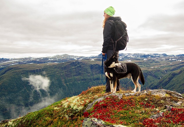 Where to go for nice walk with the Dog if your away for the Weekend in London?
