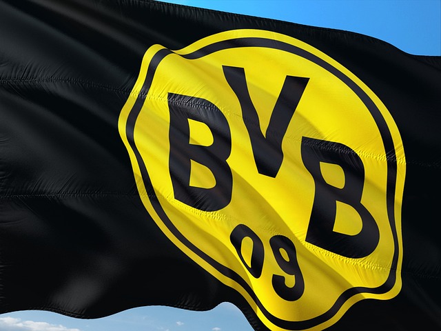 A History of Dortmund Vs atletico madrid in The Champions League