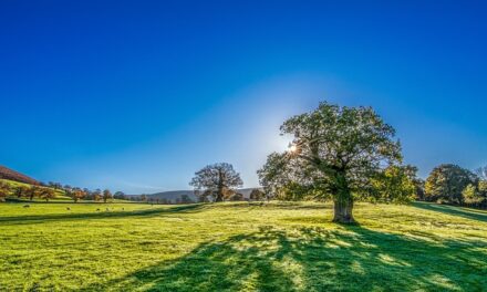 Yorkshire’s Golfing Delights: Exploring the Famous Golf Courses of England’s Largest County