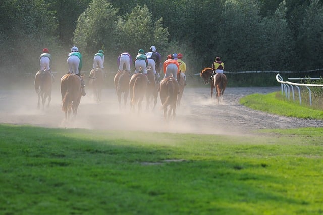 Exploring the Legacy and Success of Kim Bailey Racing