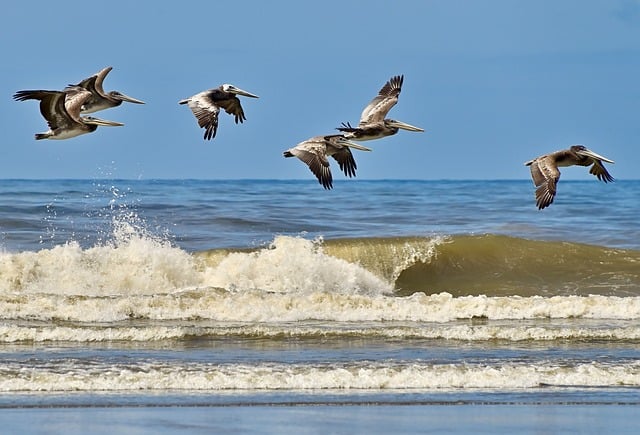 Clean Beaches Week 2024: A Call to Action for a Sustainable Future