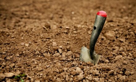 Festival of British Archaeology 2024: Celebrating Community and Heritage