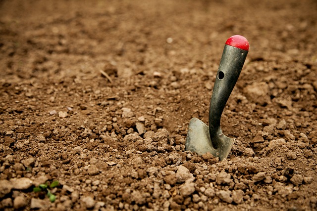 Festival of British Archaeology 2024: Celebrating Community and Heritage