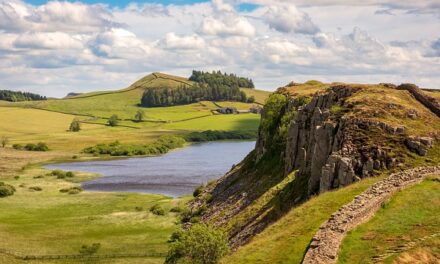 Exciting Events in Northumberland this July 2024