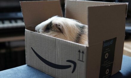 The Evolution and Impact of Amazon Prime Day