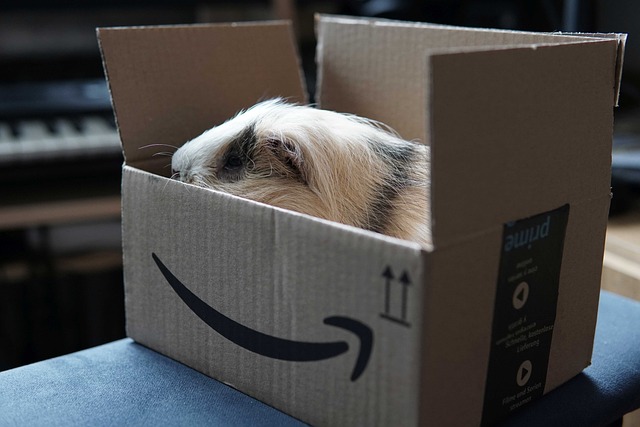The Evolution and Impact of Amazon Prime Day