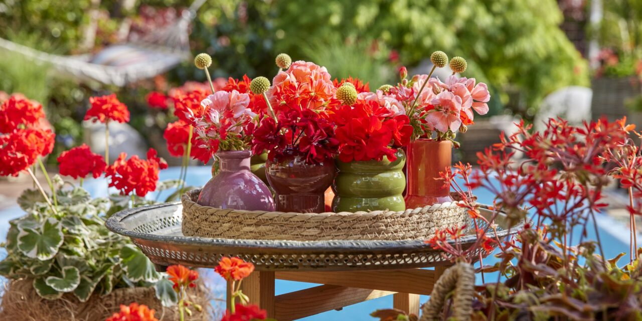 Holidays in your own floral paradise