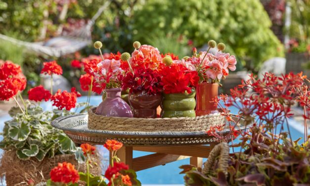 Holidays in your own floral paradise