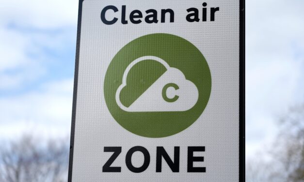 Going green: The effects of LEZs across European cities