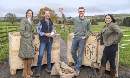 Nines Tines takes home Great Taste 2024 award for its Yorkshire potato vodka