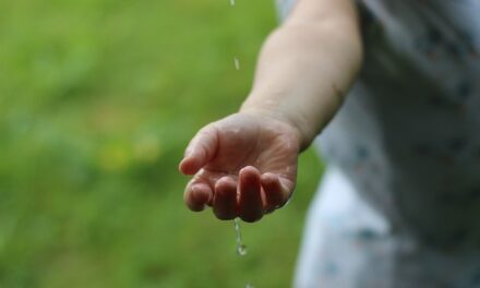 7 Simple Sustainability Tips You Can Implement This Week