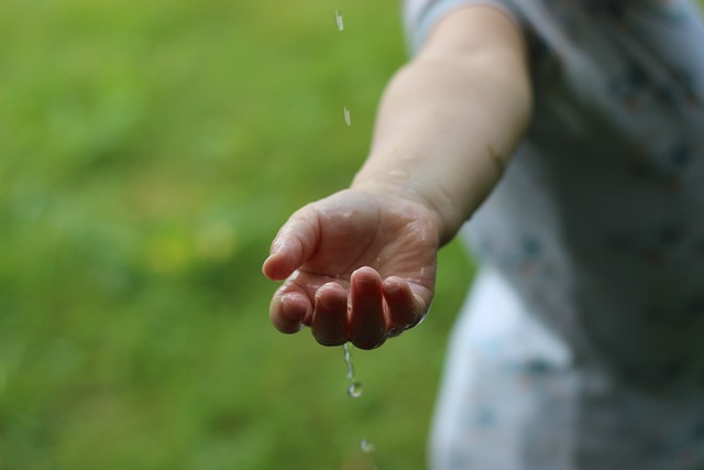 7 Simple Sustainability Tips You Can Implement This Week