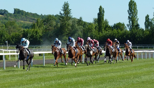 Horse Racing in the UK: August 9, 2024