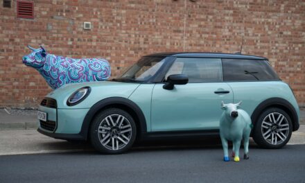 OxTrail 2024 partner: MINI Plant Oxford applies finishing touches to sculptures created by local artists