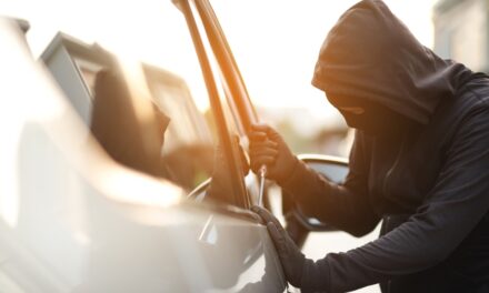 A new study has revealed the most commonly stolen electric vehicles (EVs).