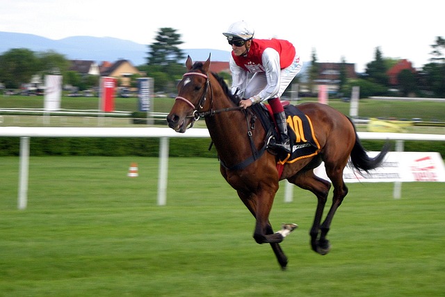 What house racing is on in The UK today?