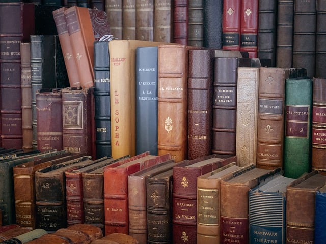 What happens at a literature festival?