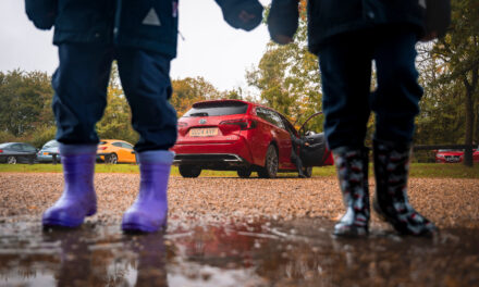 Toyota Corolla Touring Sport on location at Aldenham Country Park and Nower Wood.