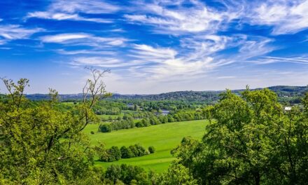 Top Safest Places to Live in the UK: Where Safety Meets Quality of Life