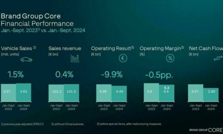 Brand Group Core with robust unit sales and sales revenue development – High fixed costs impact profitability