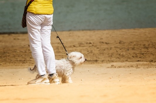 Oh We Do Like To Be Beside The Seaside!!