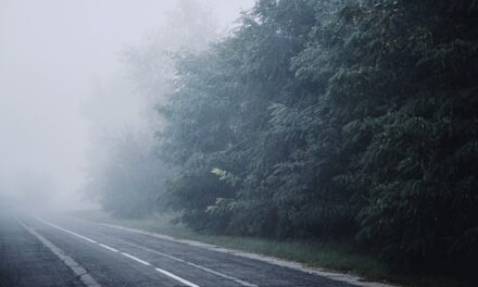 Thick Fog Blankets Parts of the UK: Travel Warnings Issued
