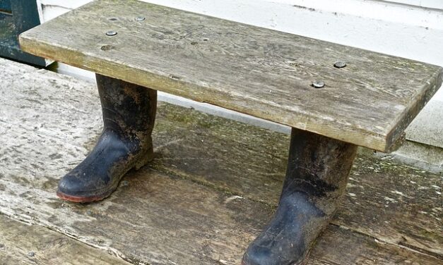 Some Great Jokes to Brighten up your Day….