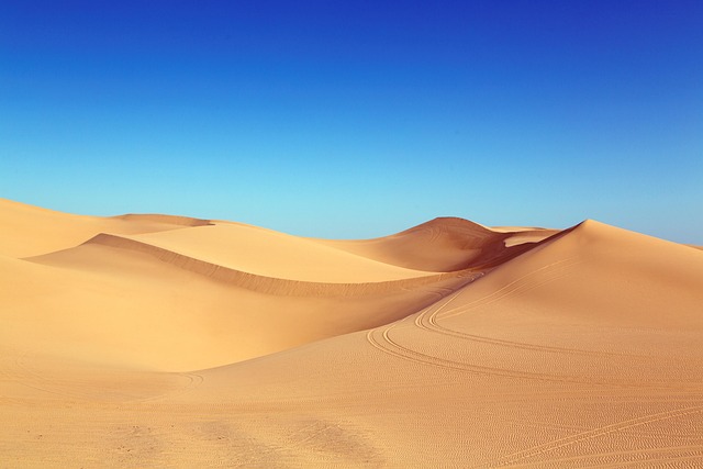 Exploring “Dune: Prophecy”: A Deep Dive into the Bene Gesserit’s Origins