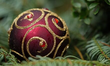 4 Tips for getting ready to Christmas?