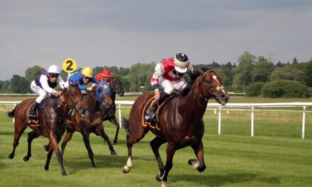 UK Horse Racing on Thursday, 28th November 2024: Meetings and Tips