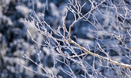 Severe Weather and Travel Disruptions Hit Northern England