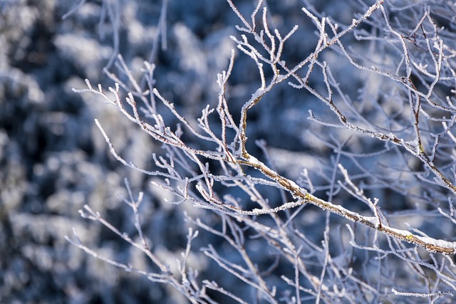 Severe Weather and Travel Disruptions Hit Northern England