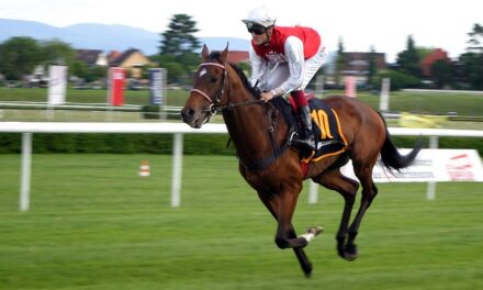 UK Horse Racing on Thursday, 14th November 2024: Meetings and Tips