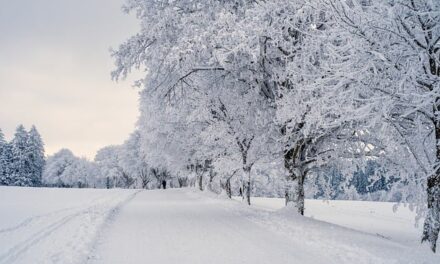 How to Prepare for Snowy Weather: Your Comprehensive Guide