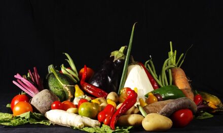 Veg Pledge 2024: Why and How to Take Part in This Plant-Based Movement