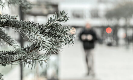 Are you prepared for Christmas, heres some top tips to be ready