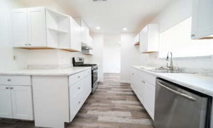 New Year, New Kitchen: Top Ideas for 2025