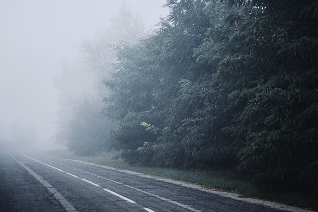 What is fog?