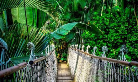 Evictions, Eating Trials, and Emotional Goodbyes: I’m a Celebrity… Get Me Out of Here! Day 13 Recap